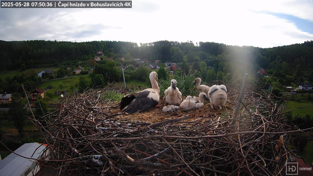 Tiešraide no KARA uzņēmuma stārķu skursteņa Bohuslavicē netālu no Trutnovas 9-4-37 screenshot