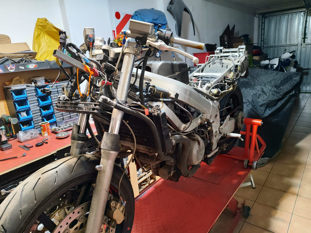 WhatsApp Image 2025-01-03 at 20.34.57 (1)