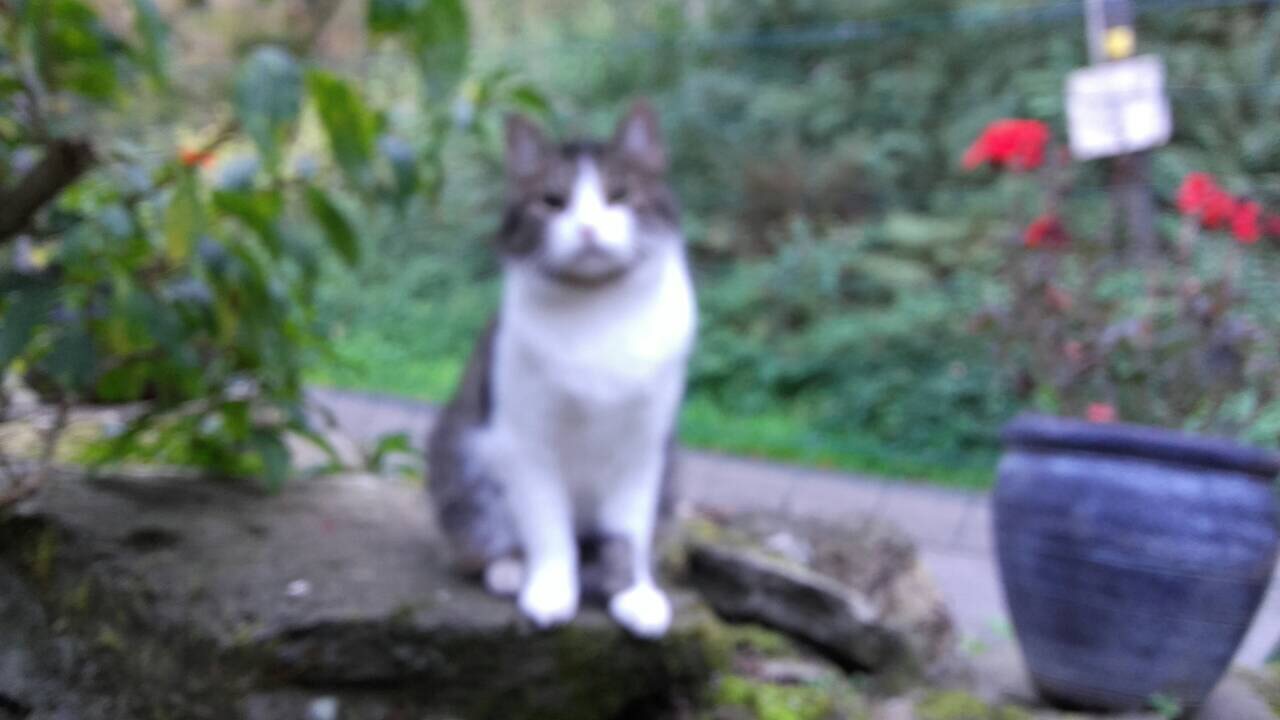 3BACCD7C-2AEB-4932-9D3F-1983912D2CBB