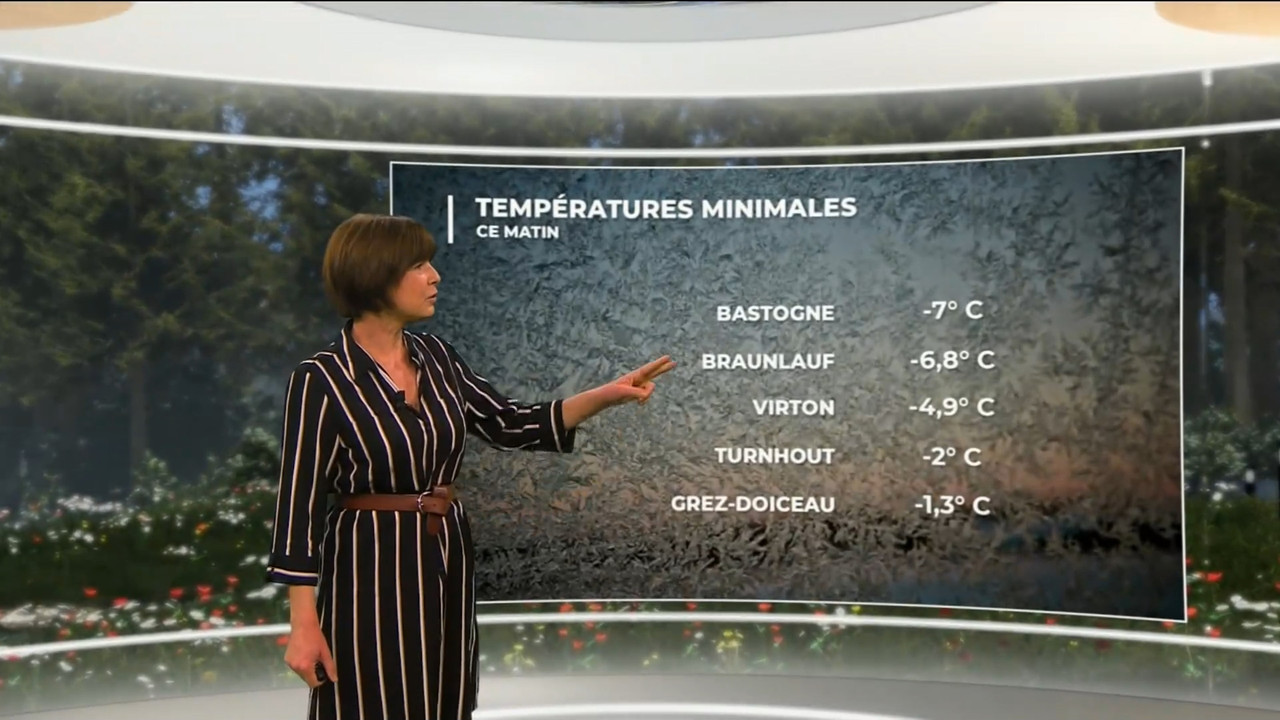 03.20 - 11.45.00 - Contacts. Verkeerstips.ts_snapshot_13.38.731