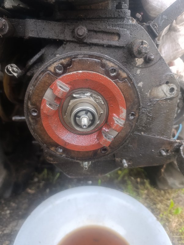 17577812333557234271084968631731