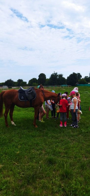 IMG-20230724-114934-441