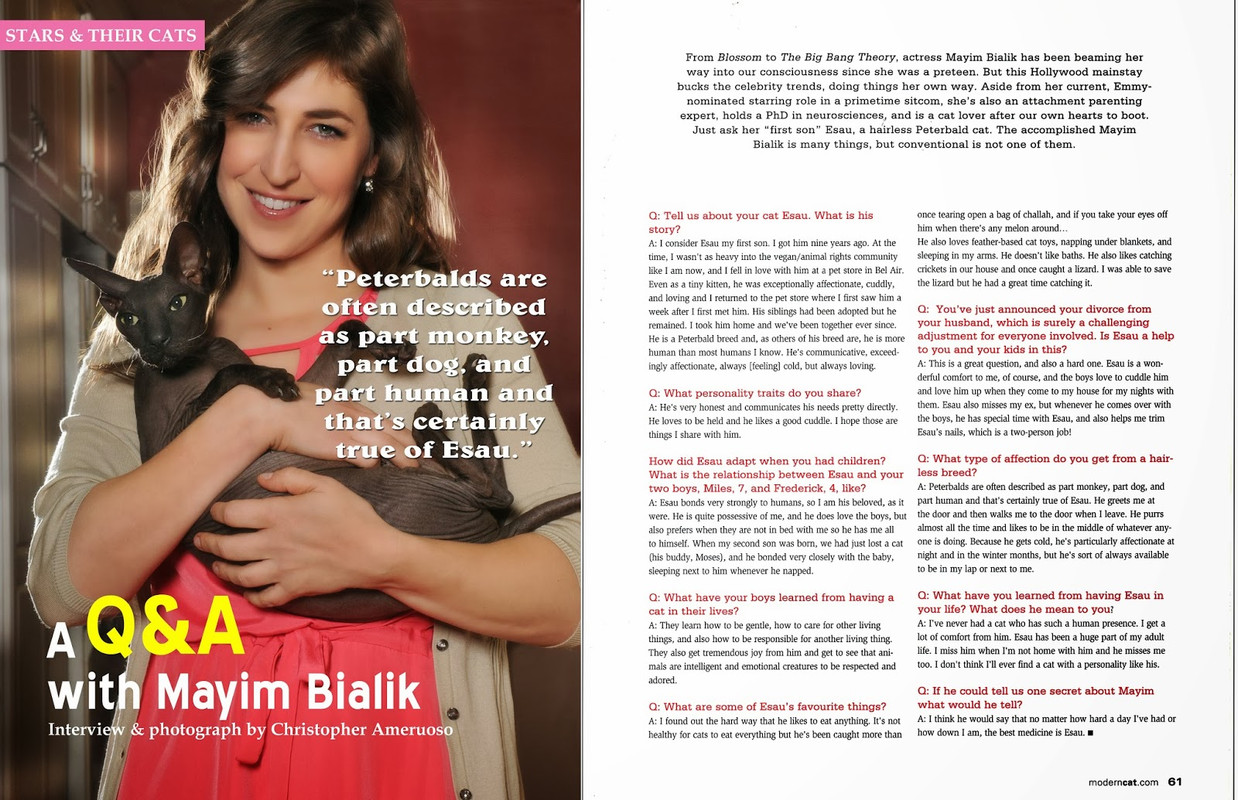 Modern-Cat-print-Mayim