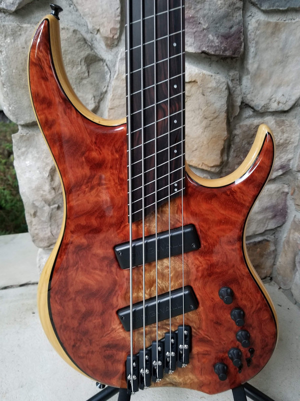 DG Fretless