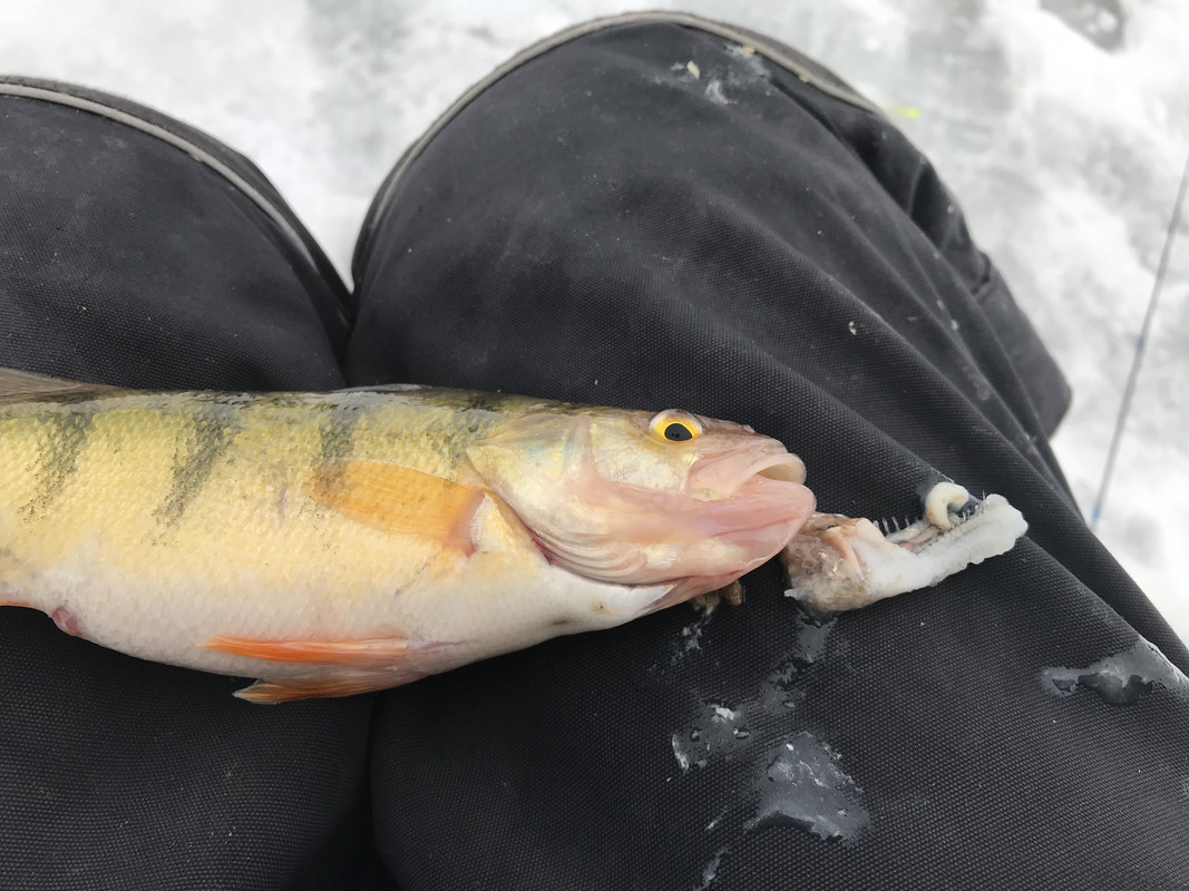 489F4C74-AC1C-44BE-83A3-1668872889F0