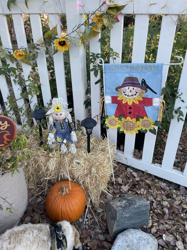 69645446-6966-4420-B2B5-BE0FA9A53F68_1_105_c