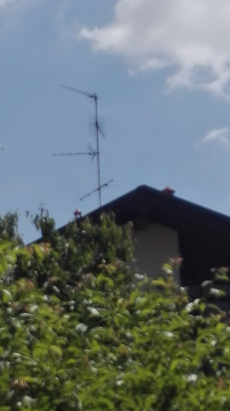 IMG-20250516-142654.jpg