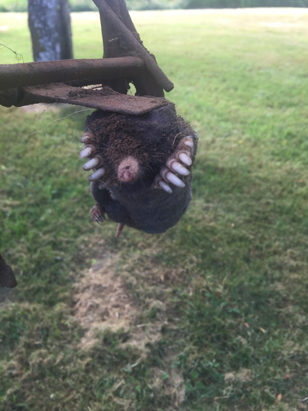 11976751-A595-4462-A8F0-E731148326FF