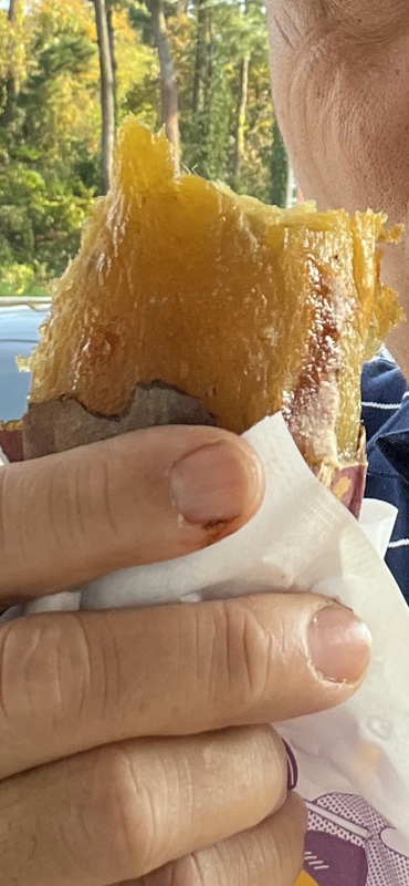 AD8F3882-1D6F-4B3C-A0D6-B1A370DFA494