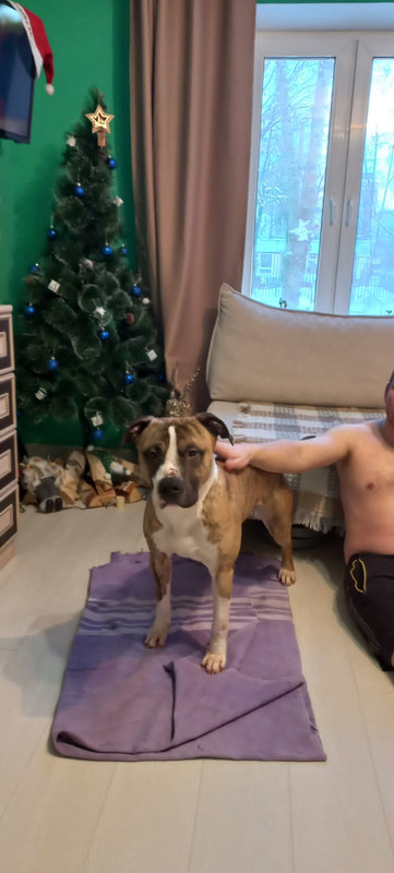 9F078B80-88C0-4CFF-9886-94F75A3F53A2