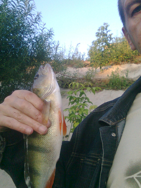 Ð¤Ð¾ÑÐ¾0287