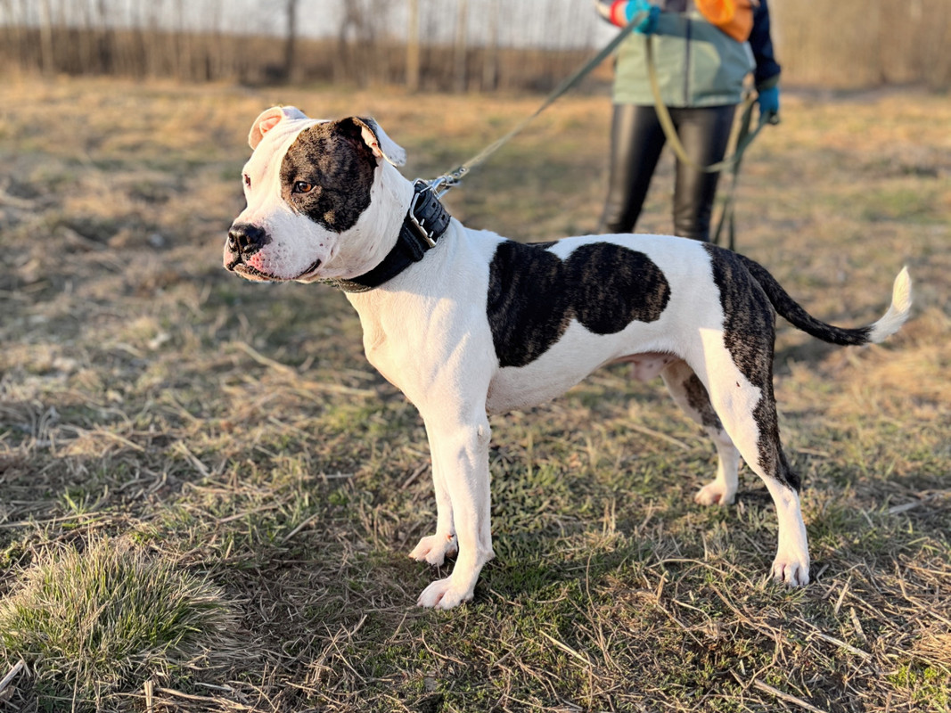 BAA56B14-E03A-46FC-9D02-4217F383F463