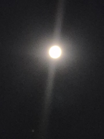 Blood Berry Moon