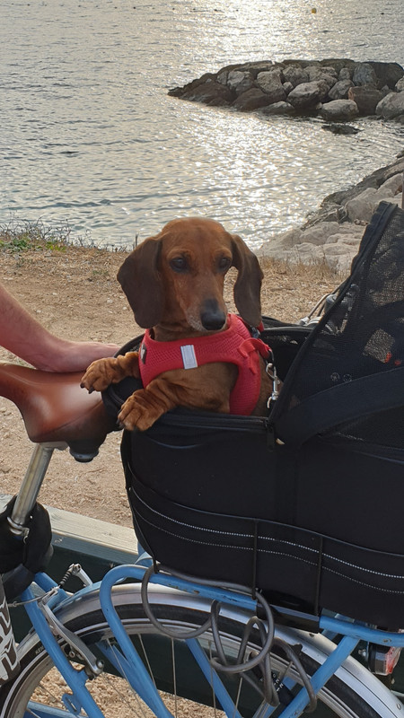 [Image: 20200829-185646.jpg]