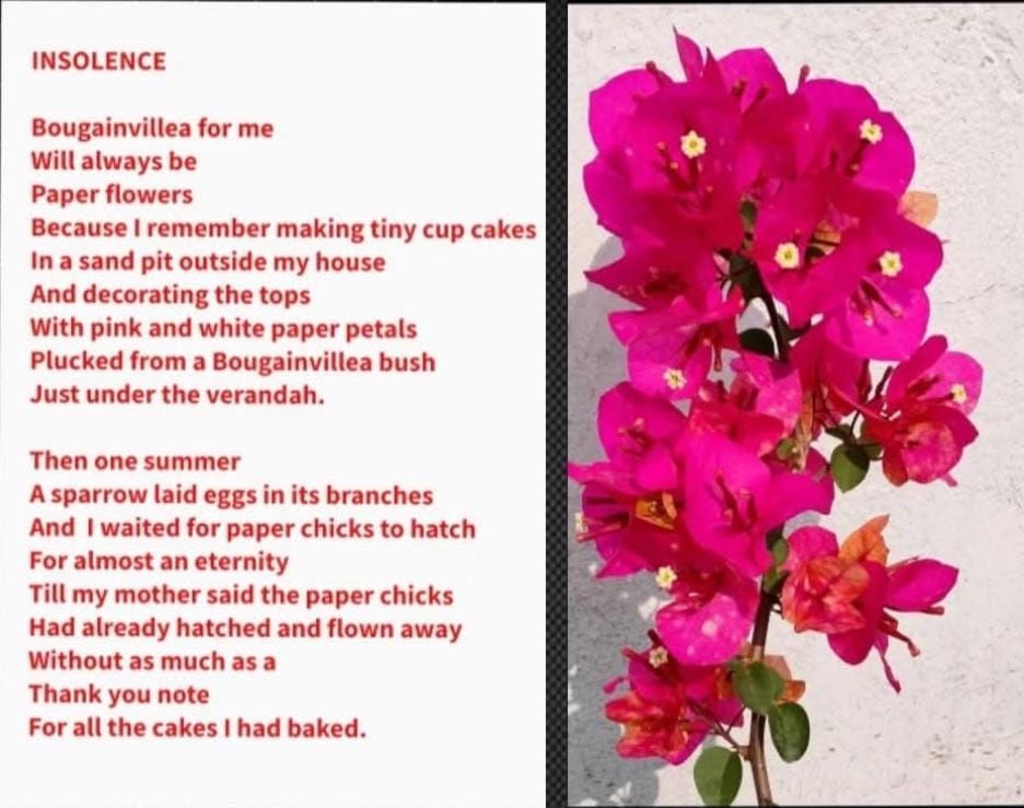 Whats App Image 2026 03 23 at 17 52 01