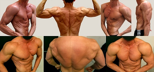 How big are 15,16,17, 18 inch biceps? Etc? - Bodybuilding.com Forums