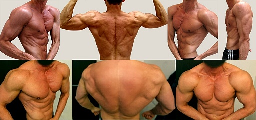 21 Best Are 10 inch biceps good for Beginner