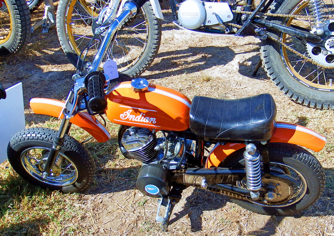 IMAGE: https://i.postimg.cc/jq7ShGMV/Harvest-Classic-Indian-mini-1.jpg