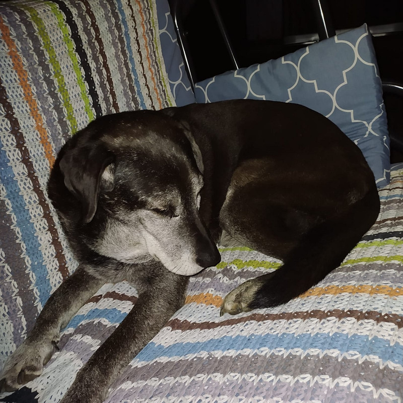 8A3D00AE-93FE-4088-A186-6C373FE252FA