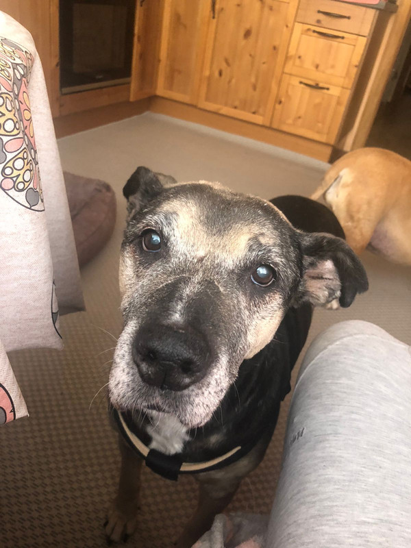 864E275A-F1FC-4948-84AA-87179DAD2273