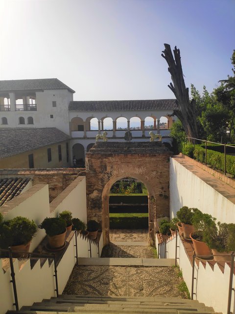 Córdoba y Granada en un verano atípico. - Blogs de España - Martes 07/07. Visita a la Alhambra. (38)