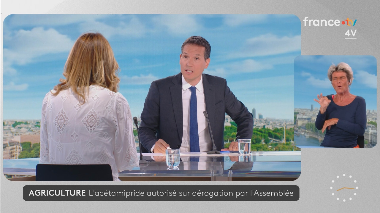 Journal 08h00 (France 2) 2026 07 21 06 55 81 ts snapshot 21 33 064