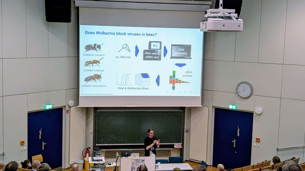 Conference photo 4