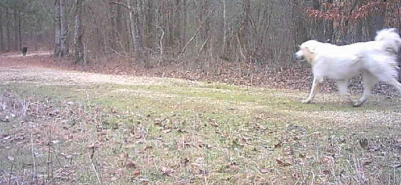 Screenshot_20250128_081905_Gallery