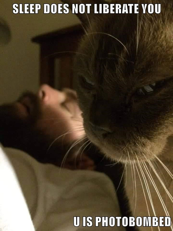 photobombed
