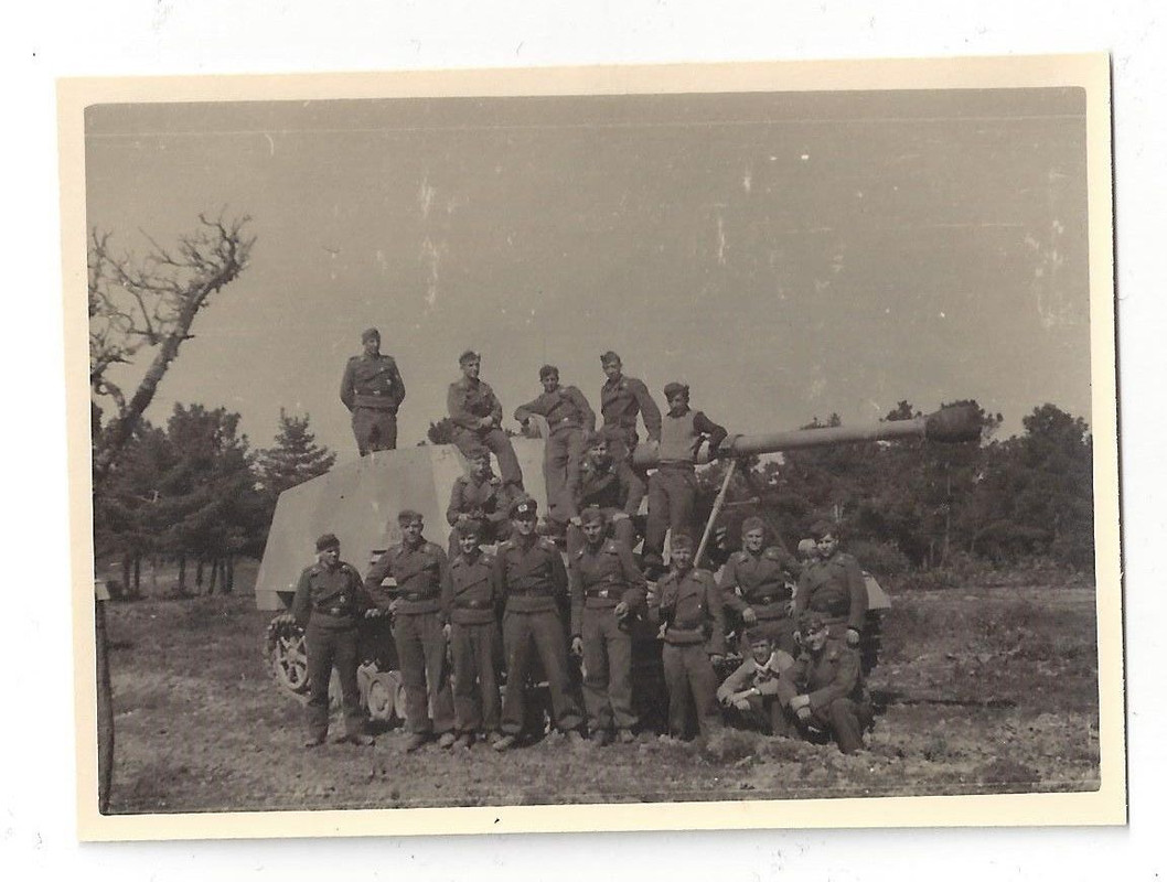 orig.Foto, deutscher Panzerjäger  Nashorn  (Sd.K