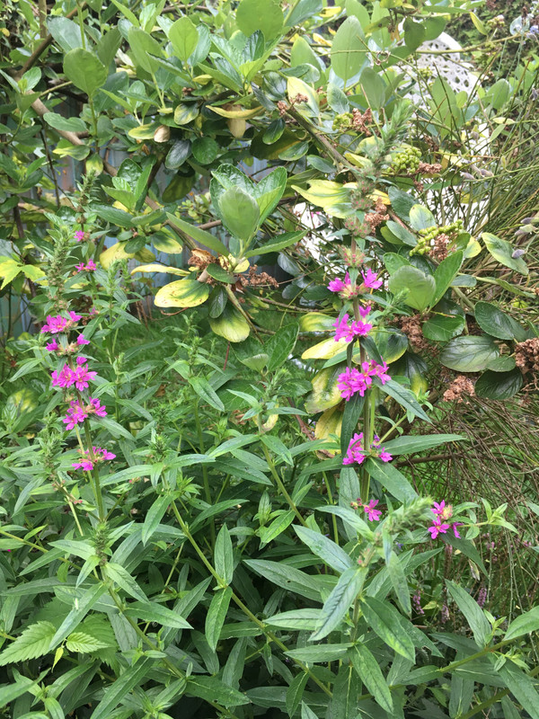 A481A9D3-4BD8-49B9-A94F-E90811F89D24