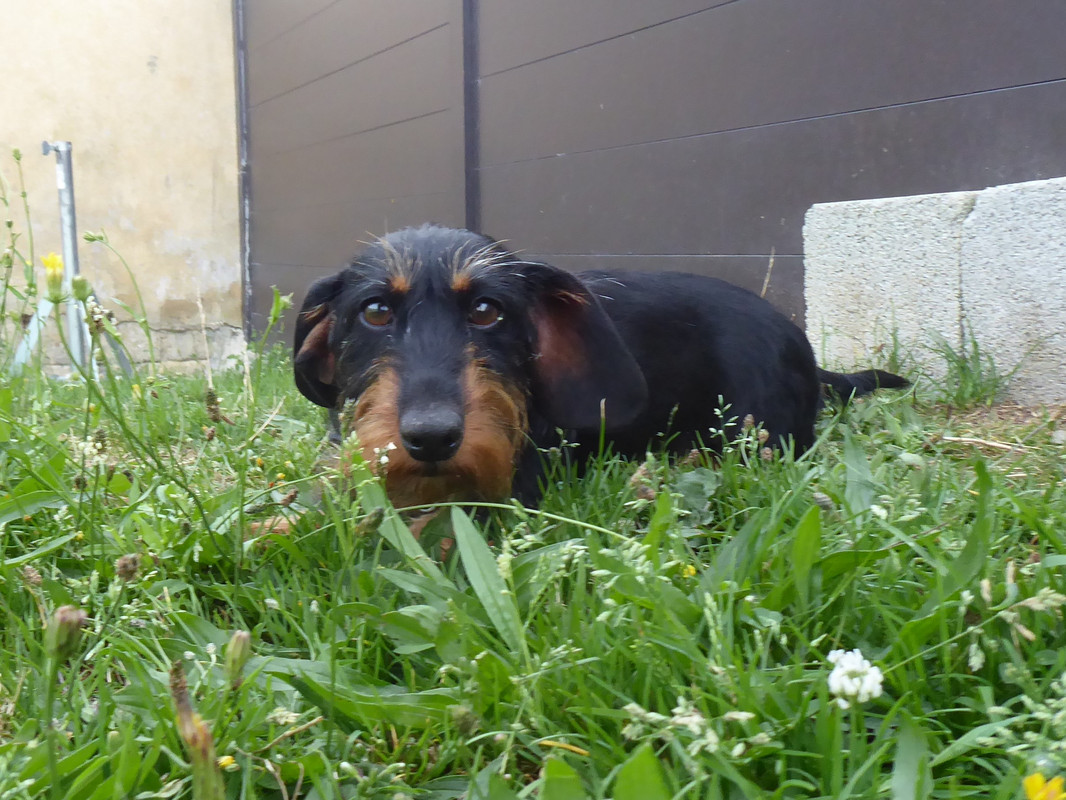 [Image: P1030702.jpg]