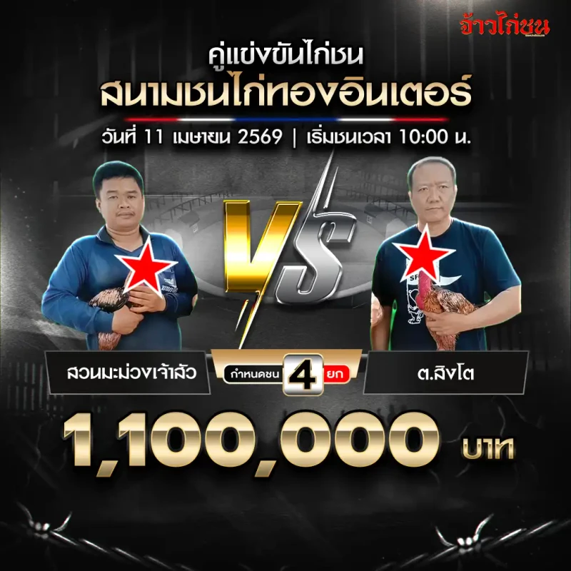 สวนมะม่วงเจ้าสัว พบ ต.สิงโต สนามชนไก่ทองอินเตอร์ 11 เมษายน 2569