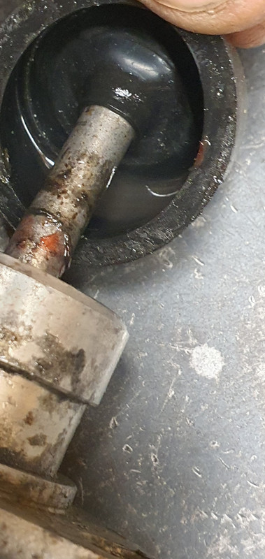 20240814_175610 (Custom)