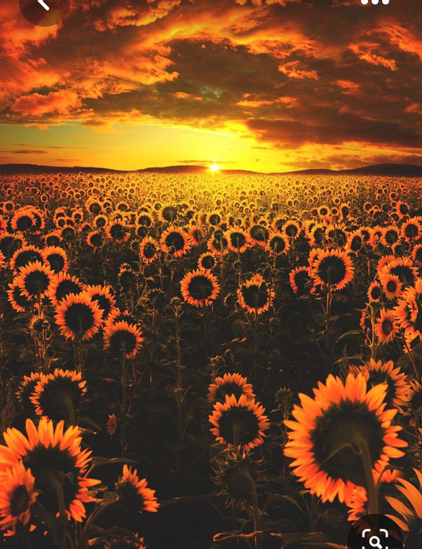 Screenshot_20230429_010157_Pinterest