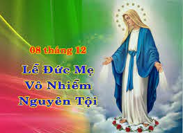 2020-12-7/8: Đức Mẹ Vô Nhiễm Nguyên Tội – Năm B