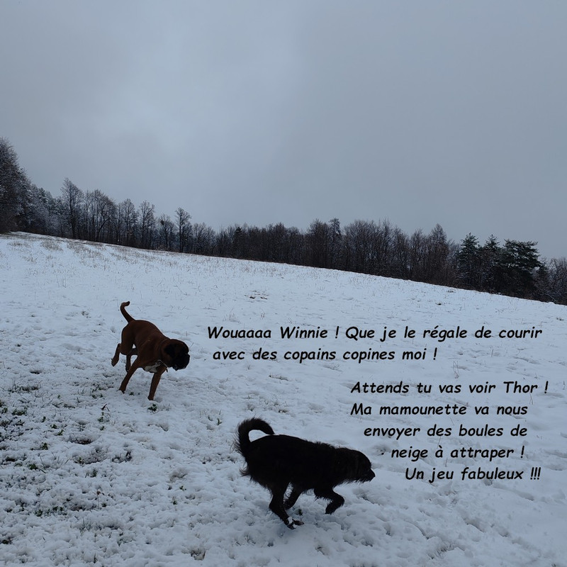 IMG-20260314-150357bb