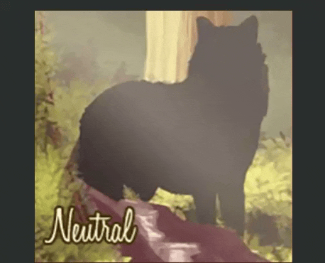 ca7e3ed245758f1e811ade7f2a8d61bc.gif