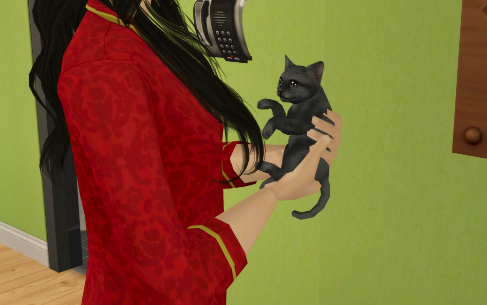 Sims2-EP9-RPC-2021-06-26-09-26-45-56