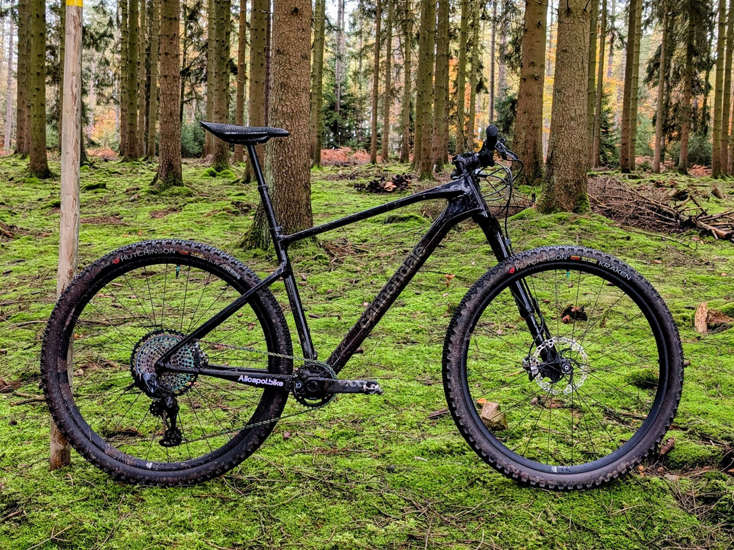 PXL 20251031 121111189 EDIT