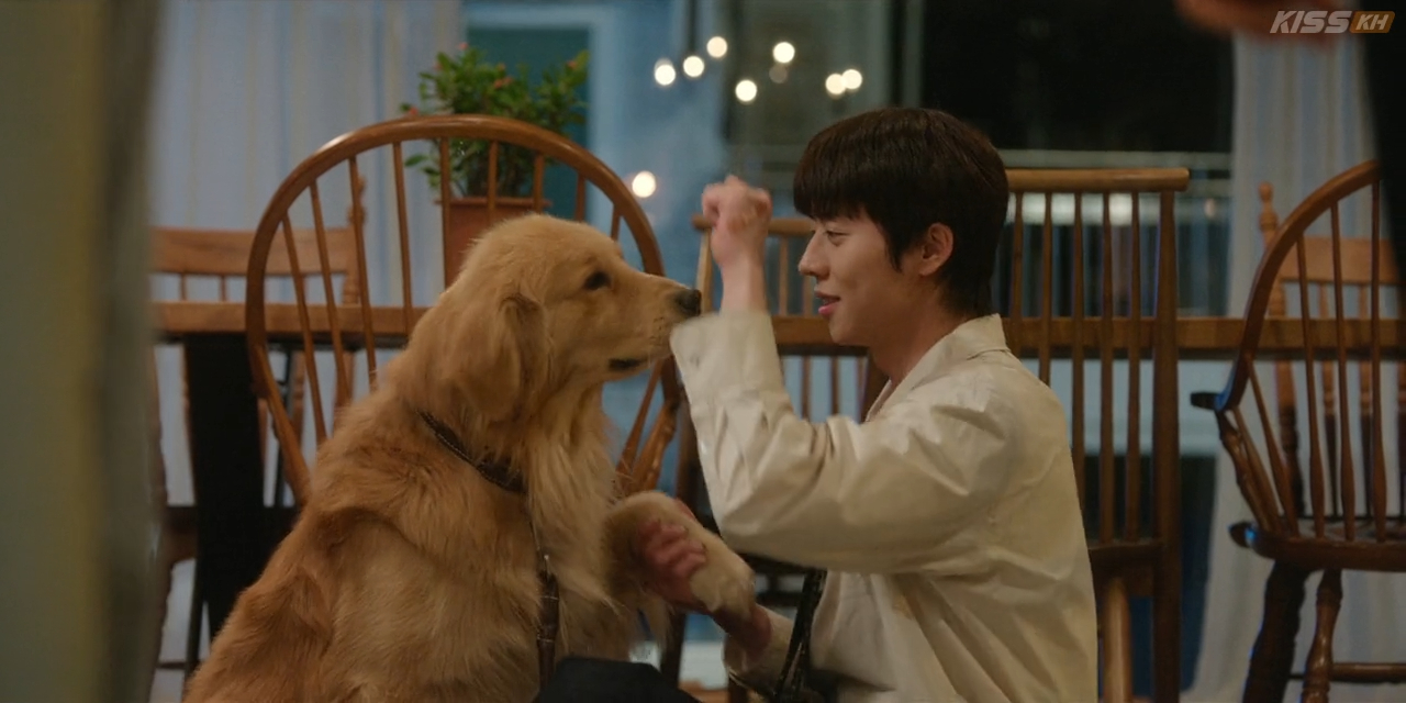 VS In Your Radiant Season Episode2kisskh 40 36