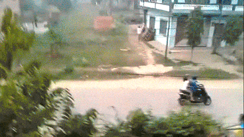 81.gif