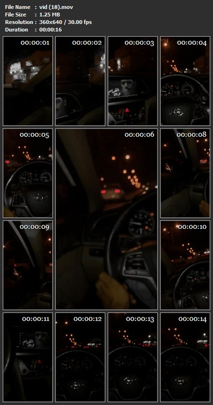 vid (18).mov