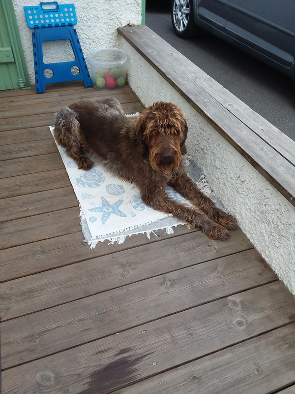 [Image: 20210921-170445.jpg]