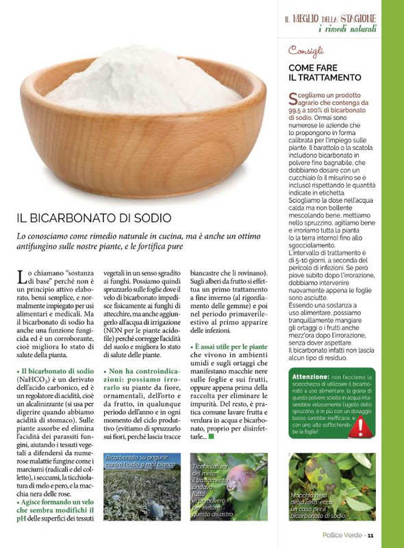 Pol Ver Mar-Apr 2022 (2)