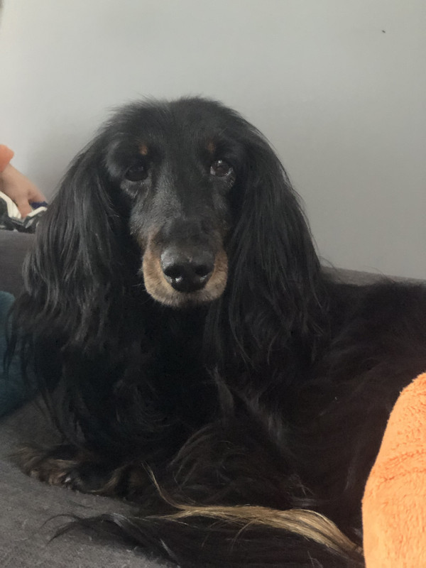 [Image: IMG-1340.jpg]