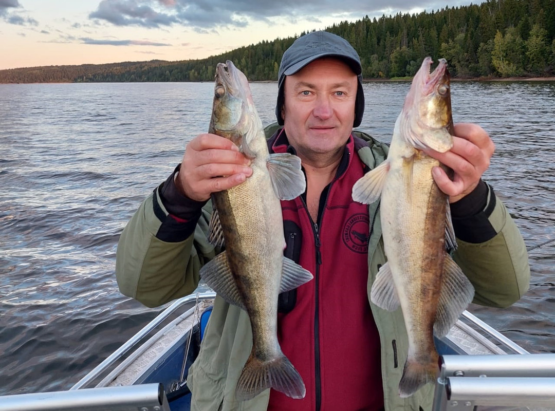 12 (1) джиг головка купи лучший спиннинг катушка Куляпин ловля рыбалка судак щука обучение