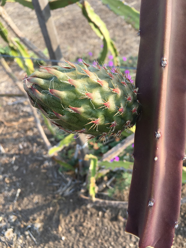 472C7170-81E7-49E5-A519-88D3AC2E0AAA