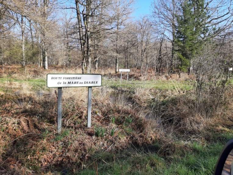 [Image: IMG-20250331-141414.jpg]