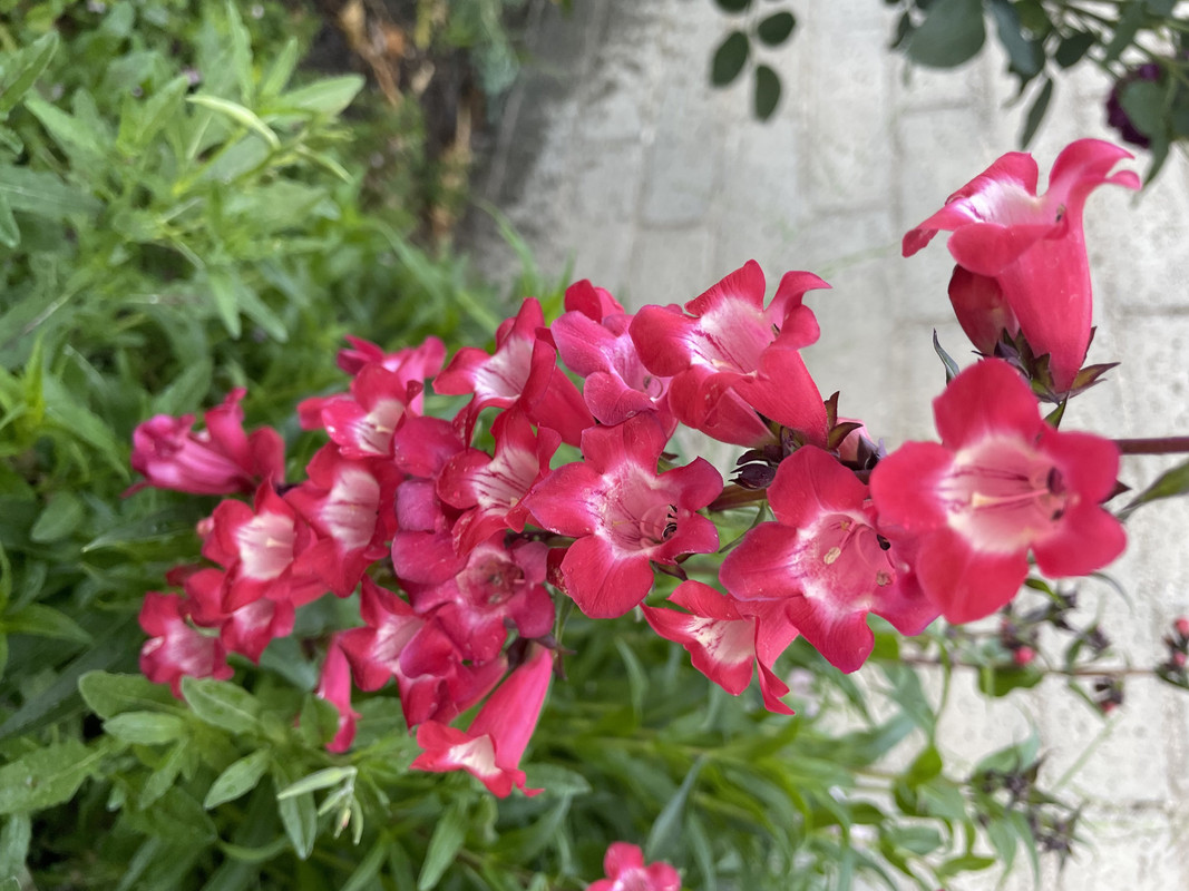 80E3BCF4-9C7F-49CD-B0E3-2957F08715EB